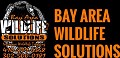 Bay Area Wildlife Solutions