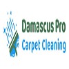 Damascus Pro Carpet Cleaning